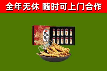 钢城区回收冬虫夏草价格